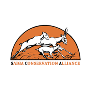 Saiga Conservation Alliance