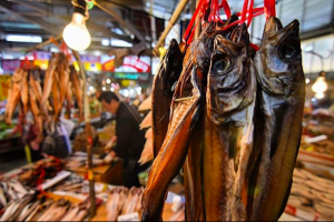 A fish market in Seoul, South Korea. Rodrigo Oyanedel
